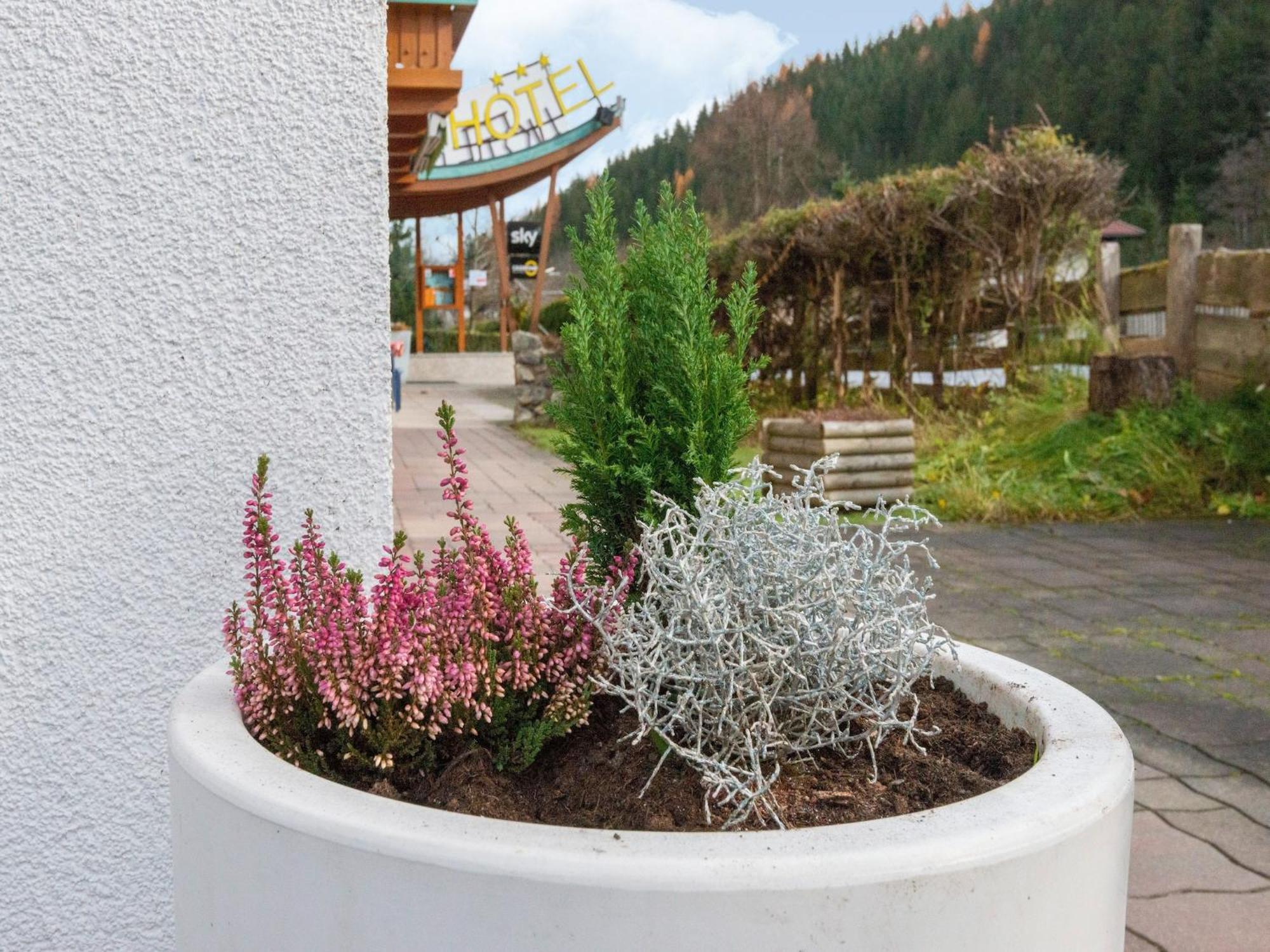Lovely Apartment With Sauna Ski Storage Pool Terrace Wald im Pinzgau Ngoại thất bức ảnh